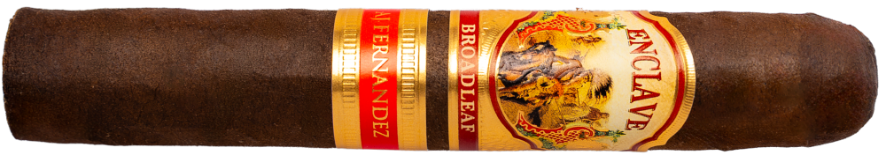 Robusto cigar