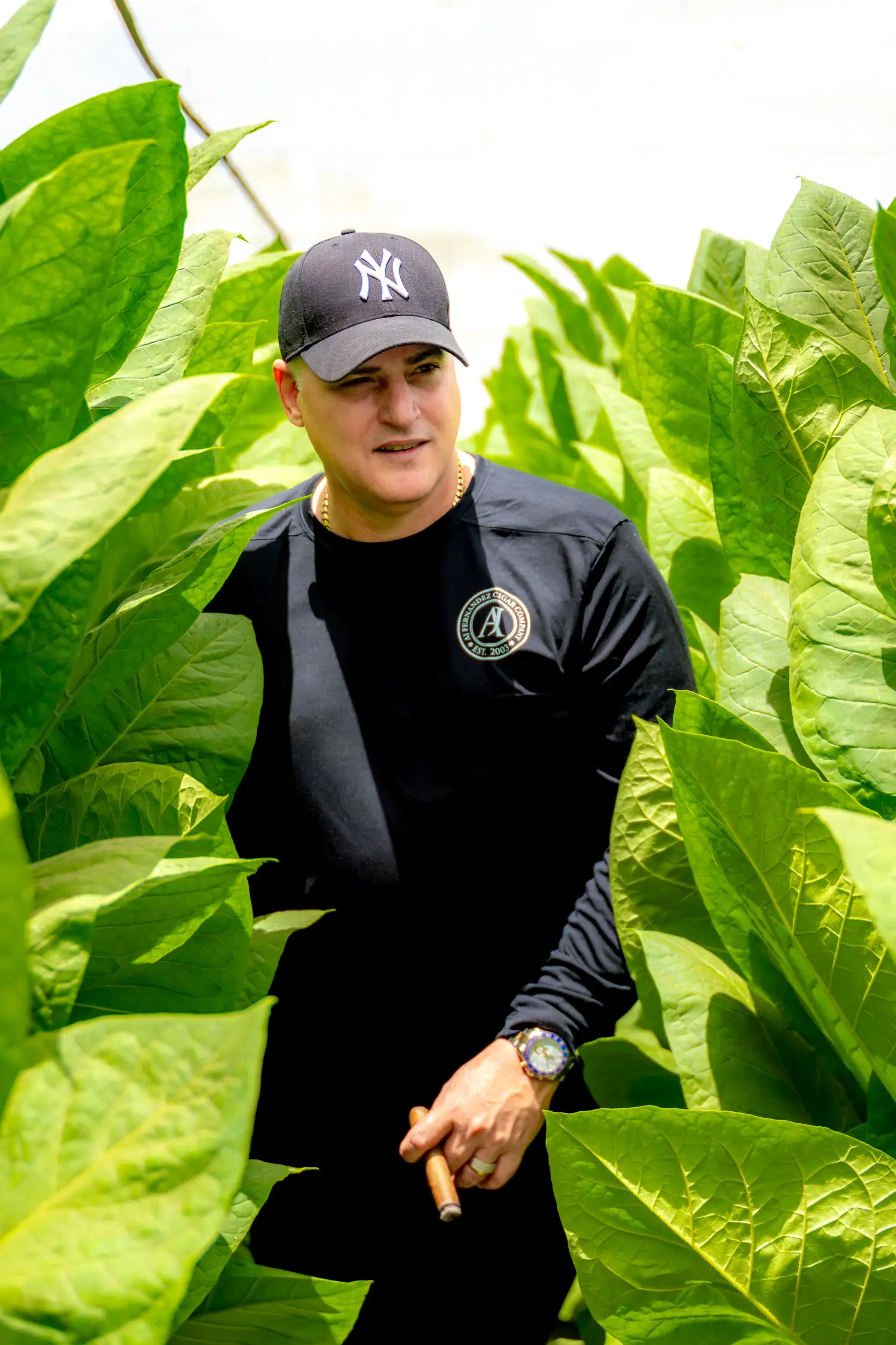 AJ Fernandez in tobacco fields
