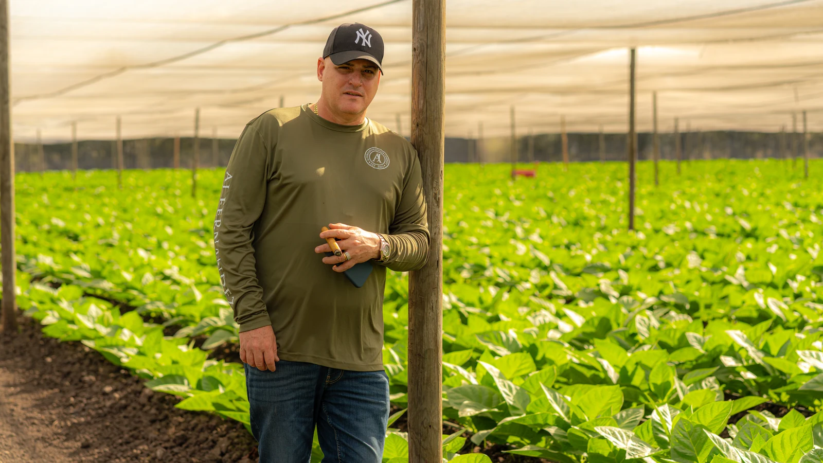 AJ Fernandez in tobacco fields